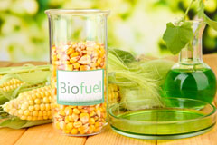 Caolas Stocinis biofuel availability