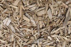 biomass boilers Caolas Stocinis